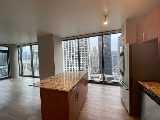 Building Photo - 509 N Dearborn St