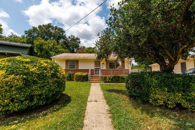 Foto del edificio - 3/2 Near Downtown and Homewood