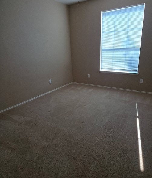 Building Photo - 5401 Soledad Dr