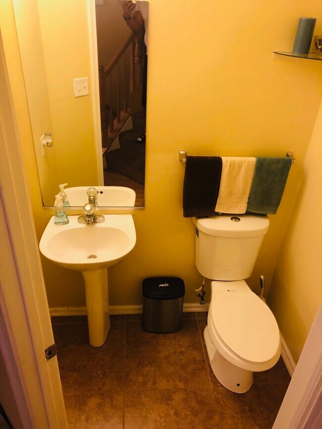 Hall bath - 8604 Lark Pl
