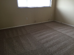 Interior Photo - Springcrest Apartments