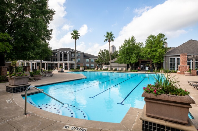 Cool off in one of our Luxury Pools - Memorial Heights