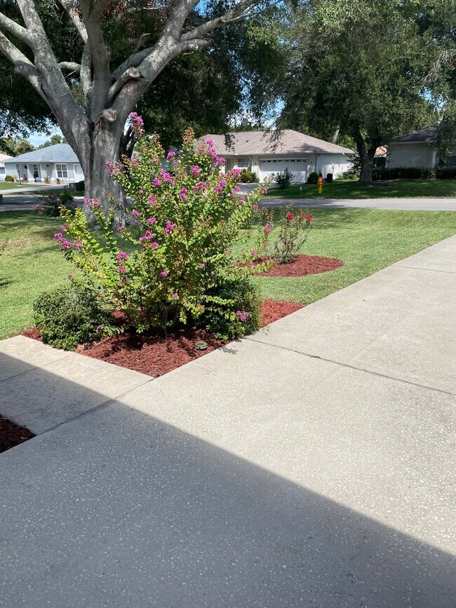 Foto del edificio - 6126 SW 84th Place Rd