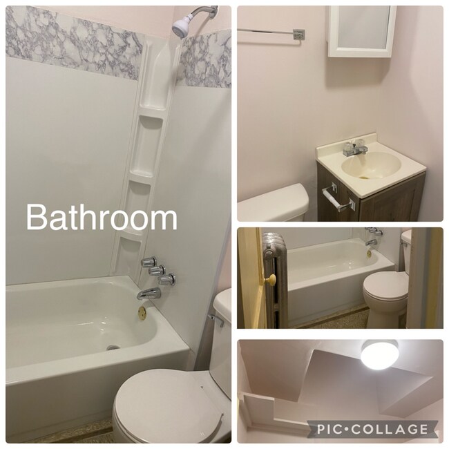 9231 S Brandon Ave Unit 2, Chicago, IL 60617 Room for Rent in Chicago