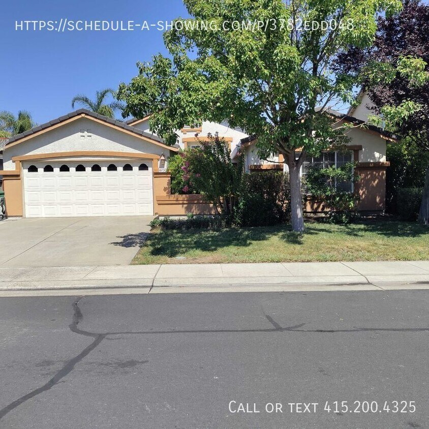 Primary Photo - Spacious House in Elk Grove!
