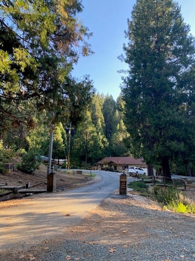 Building Photo - Banner Mountain Peaceful Forested Setting