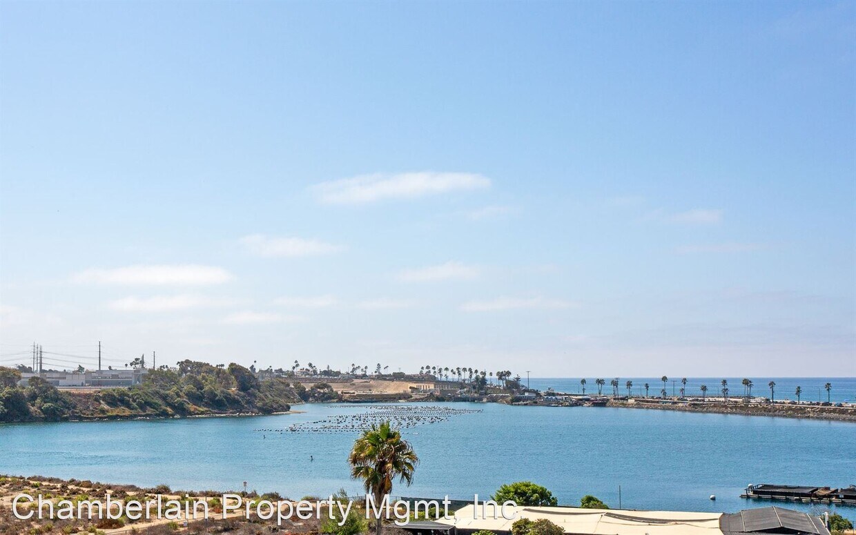 Primary Photo - 3 br, 2.5 bath House - 331 Olive Ave #301