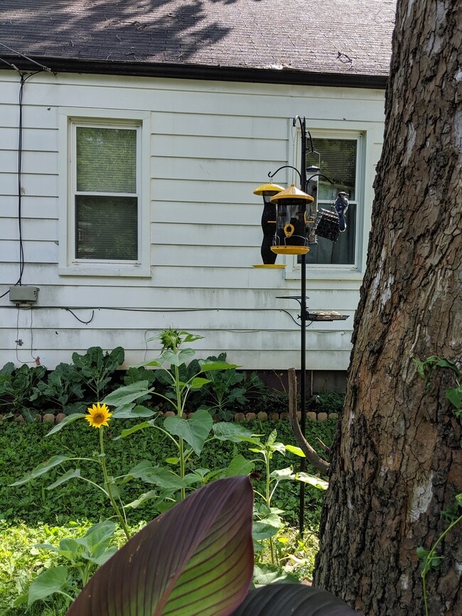 Foto del edificio - 821 Stanley St