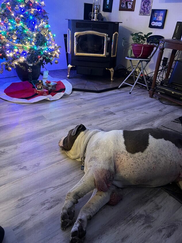 198 Alaina Ln, Mesick, MI 49668 House Rental in Mesick, MI