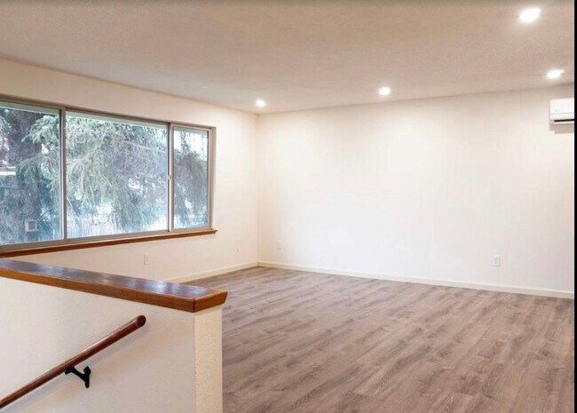 Living room. Plenty of bright light. - 1705 Norman St