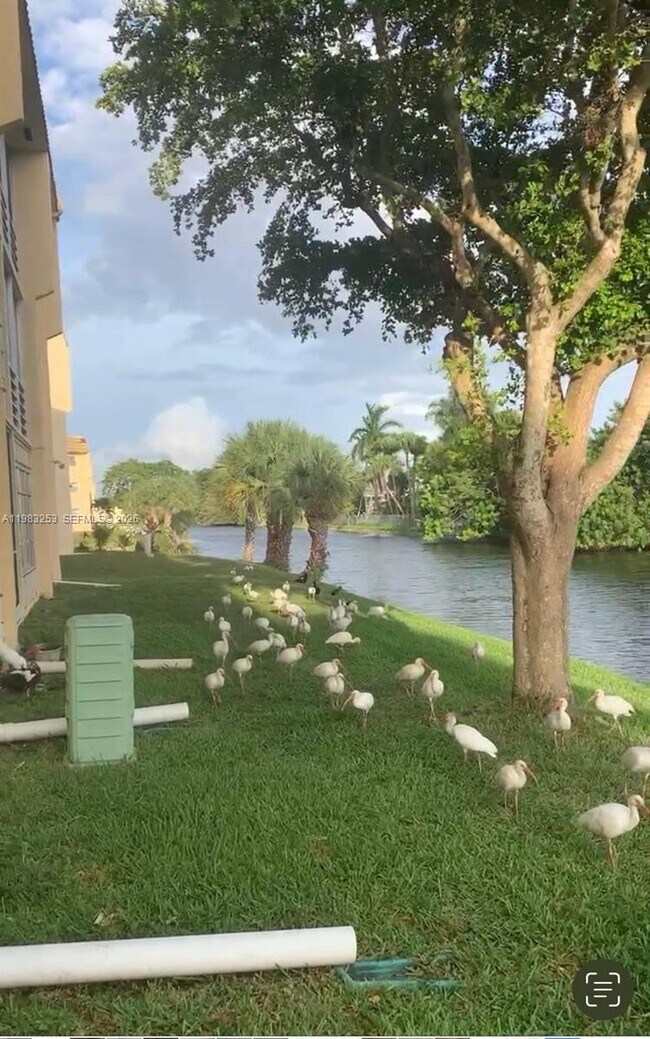 Foto del edificio - 8305 Sunrise Lakes Blvd