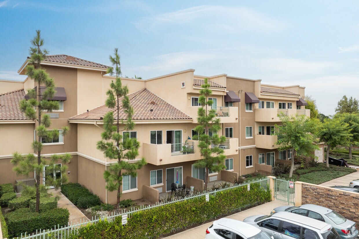 Primary Photo - Tierra Serrano