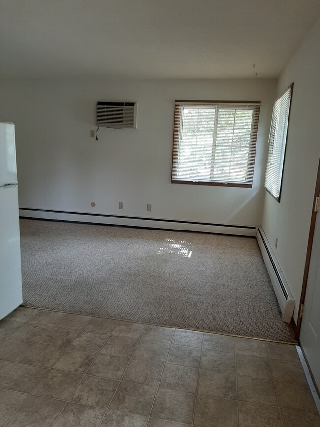 Livingroom - 1111 Minnehaha Ave W