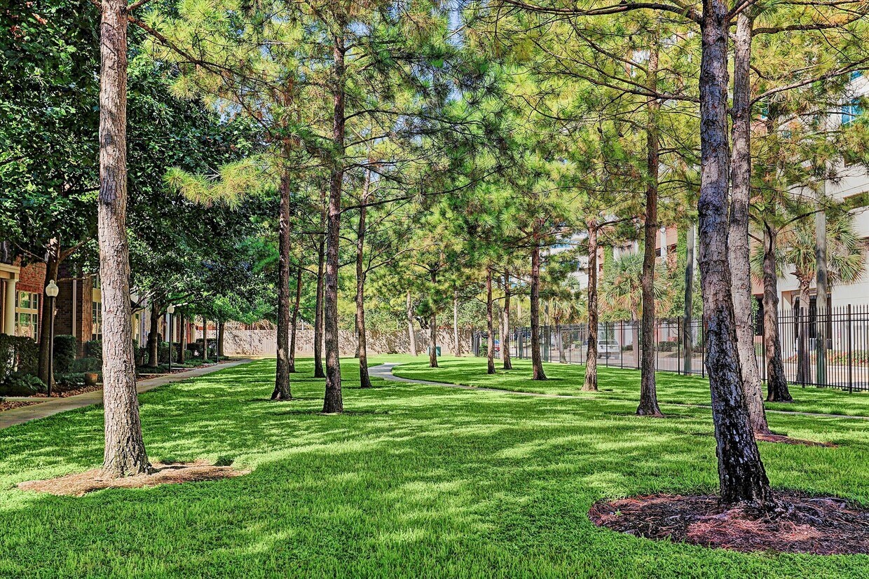 Foto principal - 927 Memorial Village Dr