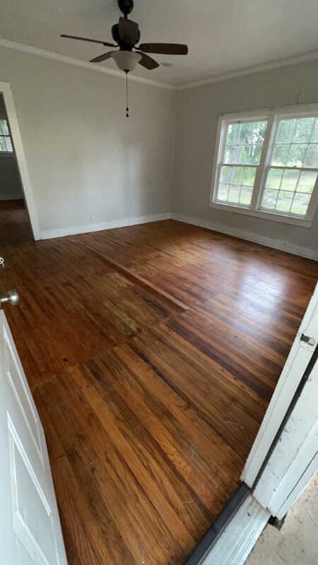 Foto del edificio - 664 Black Walnut Rd