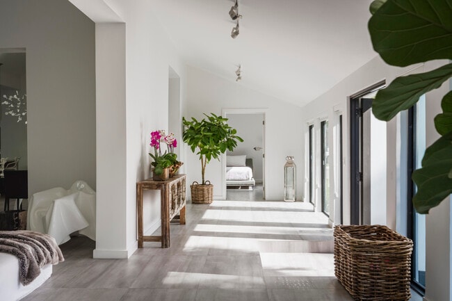 Foto del edificio - 259 N Coconut Ln