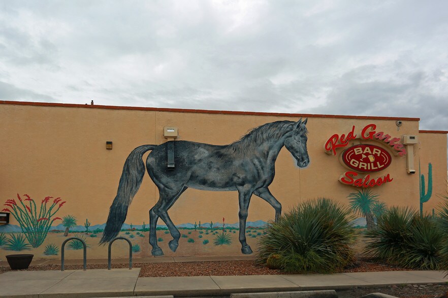Picture of Palo Verde Tucson