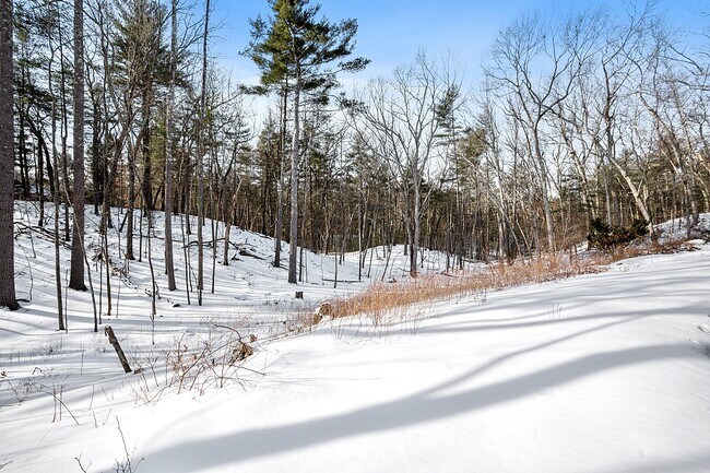 Backyard abuts conservation land - 16 Bayberry Rd