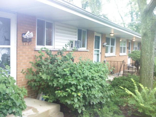 Building Photo - 471-481 N Addison Rd