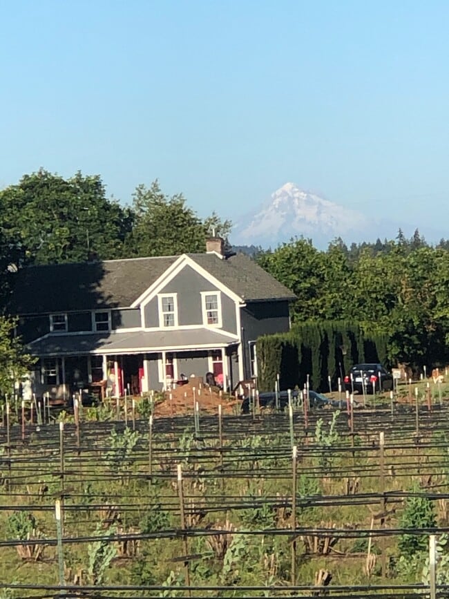 View of house with Mt. Hood - 11280 SW Robinson Rd