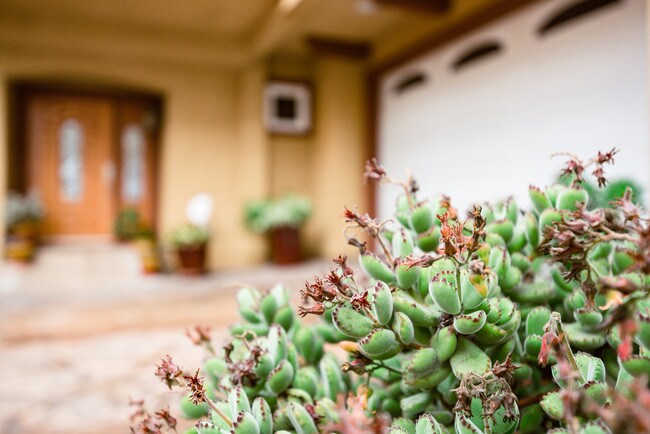 Foto del edificio - 1805 Speyer Ln