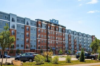 Building Photo - 303 Dunbar St