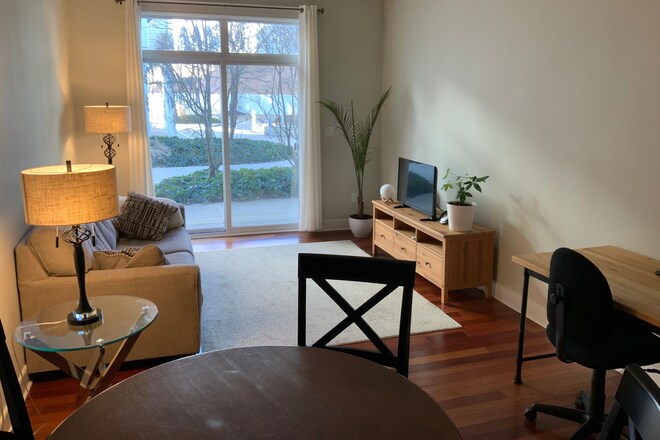 Primary Photo - 1.0 bedroom in Cambridge Massachusetts 02138