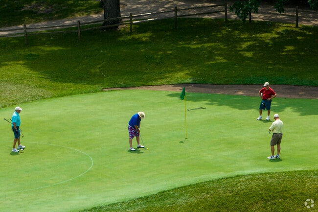 Golf is a part of the daily life in Bartlett as residents practice their puts on the greens.