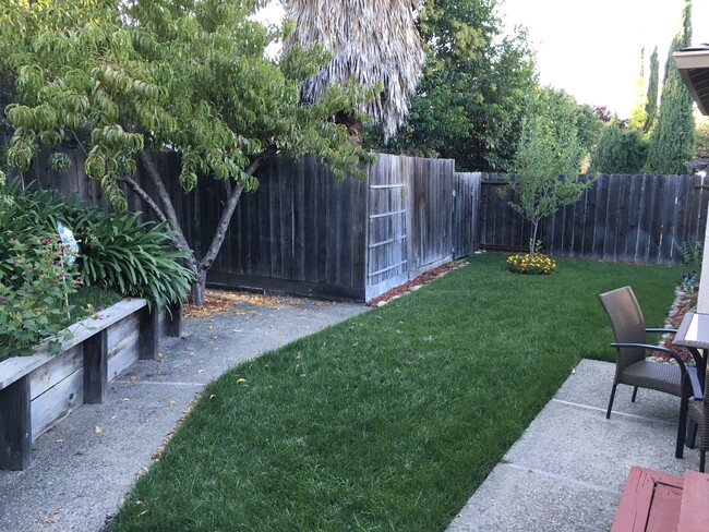 Shared backyard - 2529 Holly View Dr