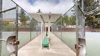 Located at 455 Crescent Ave in Sunnyvale, California, this outdoor tennis facility offers multiple full-sized hard courts designed for recreational and competitive play. The courts feature a classic blue and green hard-surface layout with crisp white court markings and regulation-height nets, providing a well-defined playing environment for singles and doubles matches. Each court is enclosed by chain-link fencing, ensuring safety and containment during play, while a wooden perimeter fence adds additional privacy and structure to the facility. The complex is generously surrounded by mature trees and dense greenery, creating a pleasant, shaded atmosphere and a natural buffer from the surrounding neighborhood. The open-air setting allows for abundant natural light and unobstructed views of the sky, contributing to an inviting outdoor ambiance. An aerial perspective reveals the courts arranged in a side-by-side configuration, maximizing the use of the available space across the property. A covered parking area is accessible adjacent to the courts, adding convenience for visitors. The combination of well-maintained playing surfaces, natural landscaping, and practical amenities makes this facility a functional and appealing destination for tennis enthusiasts in the Sunnyvale community.