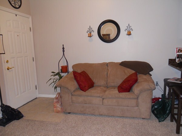 One Bedroom's Living room - 1126 Bertrand St