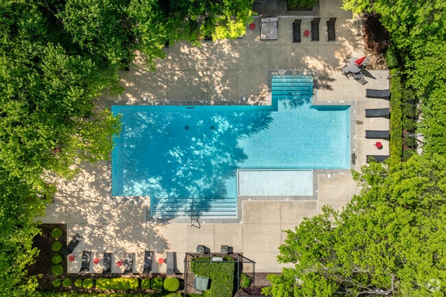 Pool - Optimist Lofts