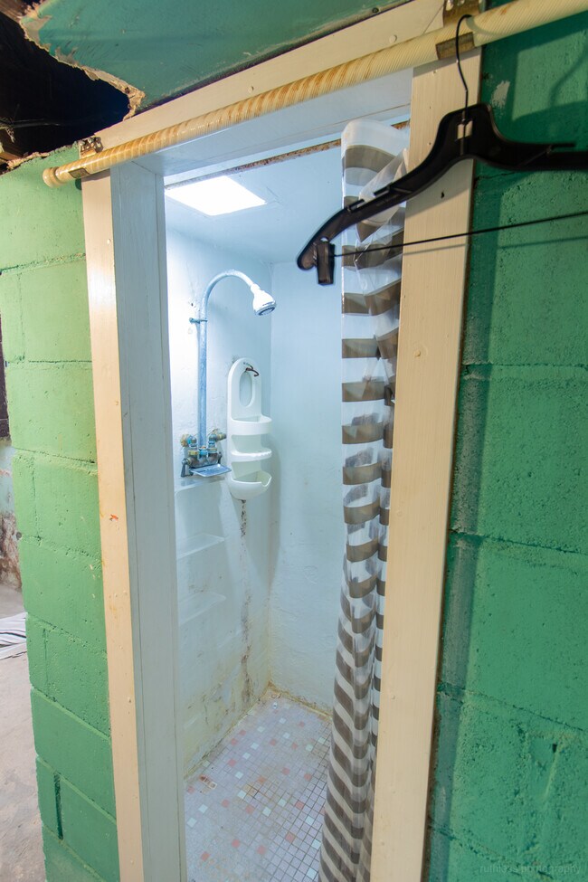 Basement Shower - 621 Columbia St