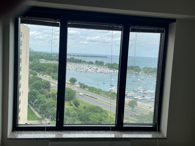 Building Photo - 3100 N Lake Shore Dr