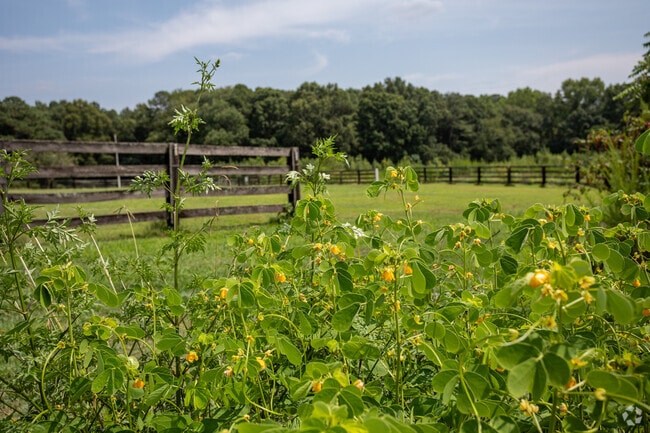 Take one of Holly Springs' Greenways to Sugg Farm or next door to Bass Lake.