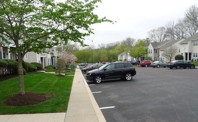 Parking area - 1504 Rosewood Ct