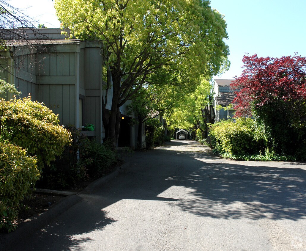 Building Photo - 375 W Napa St