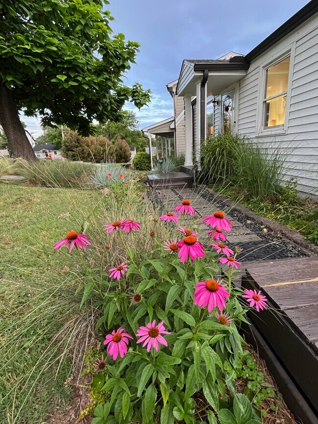 Foto del edificio - 3803 Lookout Dr