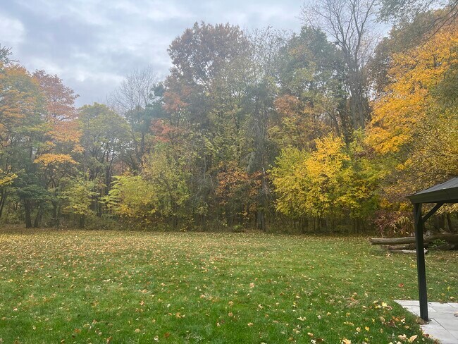 back yard - 6200 S 6th St