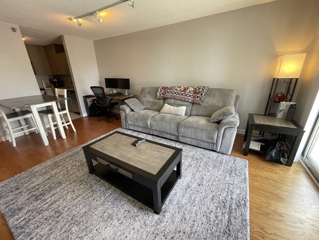 Building Photo - 1212N N La Salle Dr