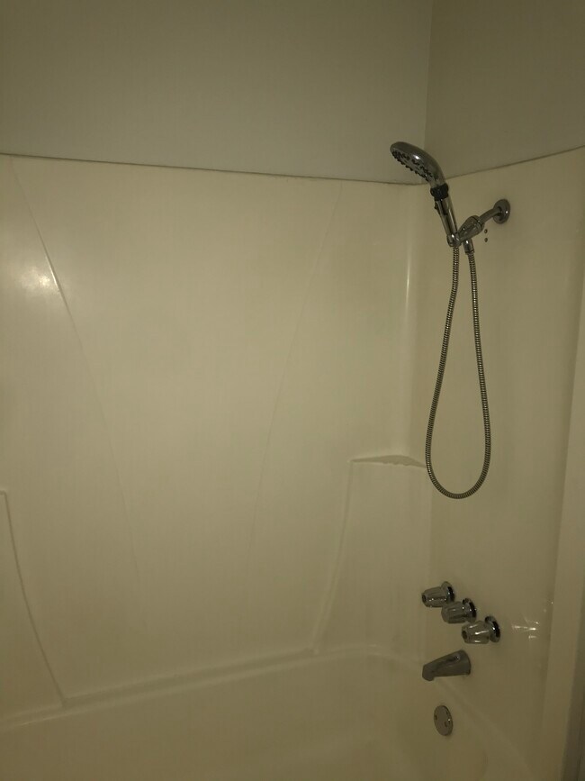 Ducha/bañera - 1132 Parkview Street