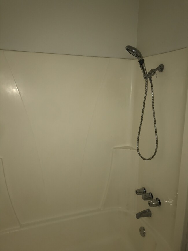 Shower/tub - 1132 Parkview Street