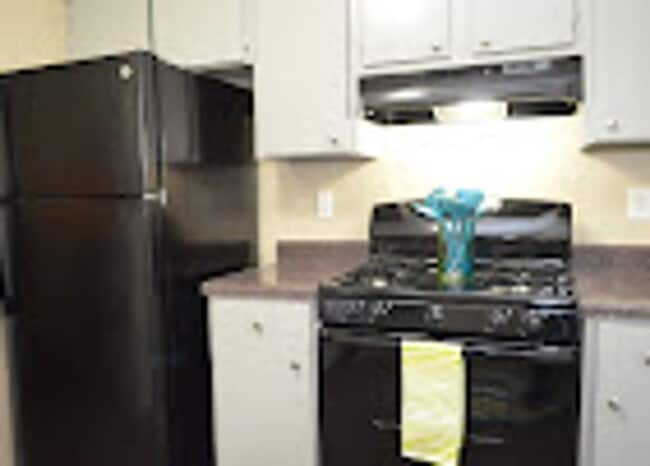 Interior Photo - Graceland Flats – Modern Living in the Heart of Whitehaven