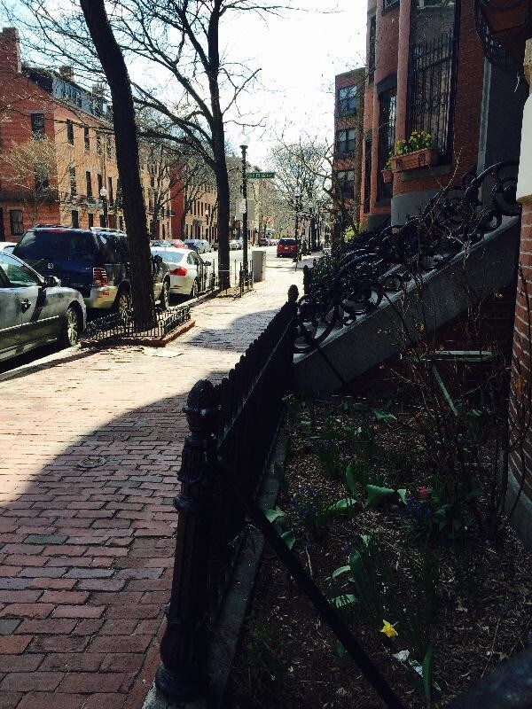 Foto del edificio - 447 Shawmut Ave