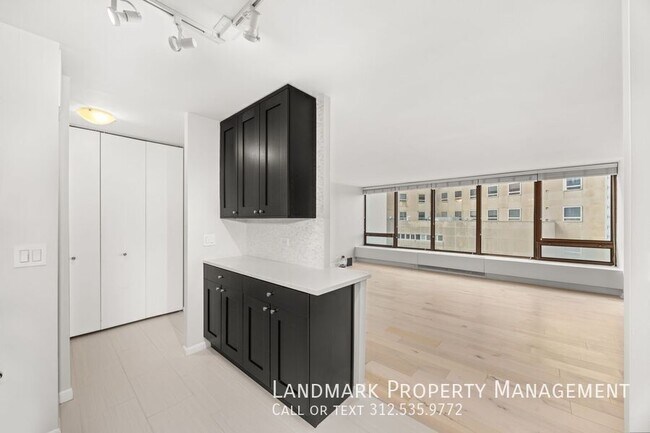 Building Photo - 2800 North Lakeshore Drive-Unit 505