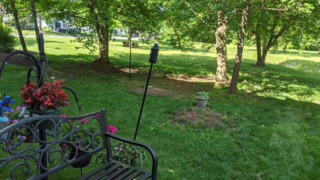 Looking from deck. Only a park behind - 1002 Foxhunt Terrace NE