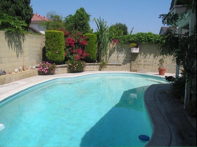 pool in the back yard - 13513 Acoro Pl