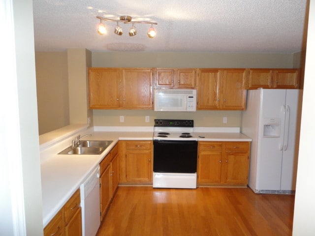 Building Photo - 505 Westminster Dr