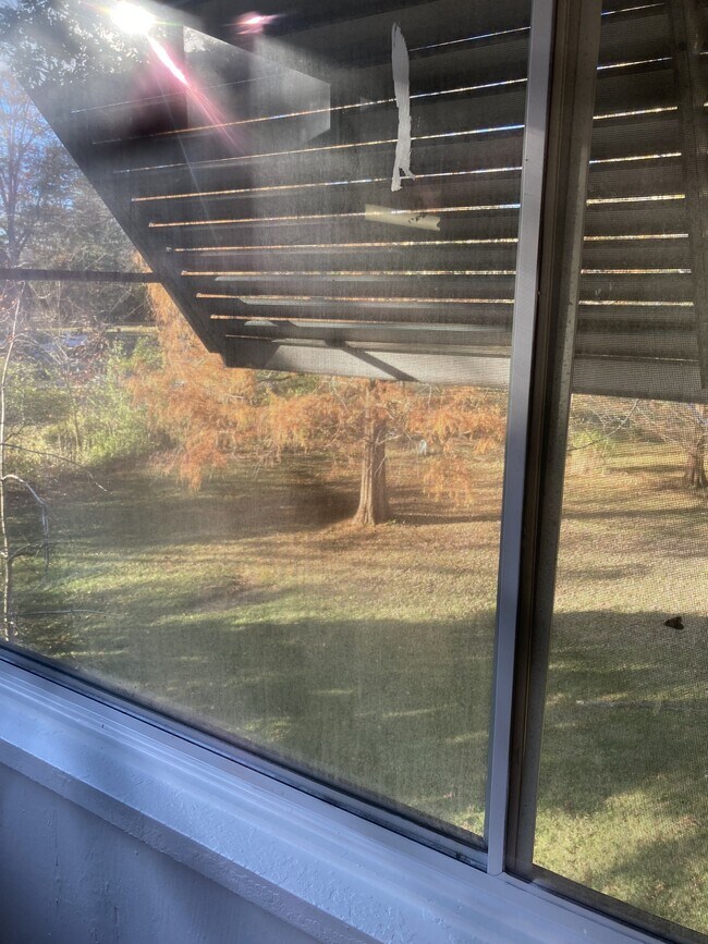 back yard - 3714 Section Rd