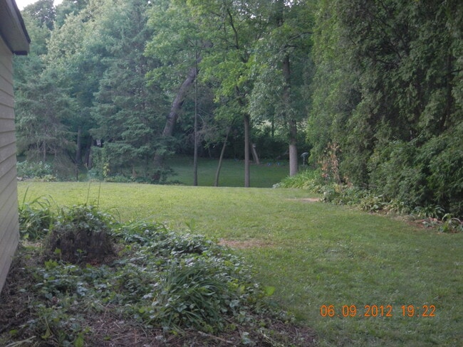 Building Photo - 6394 Conifer Ln